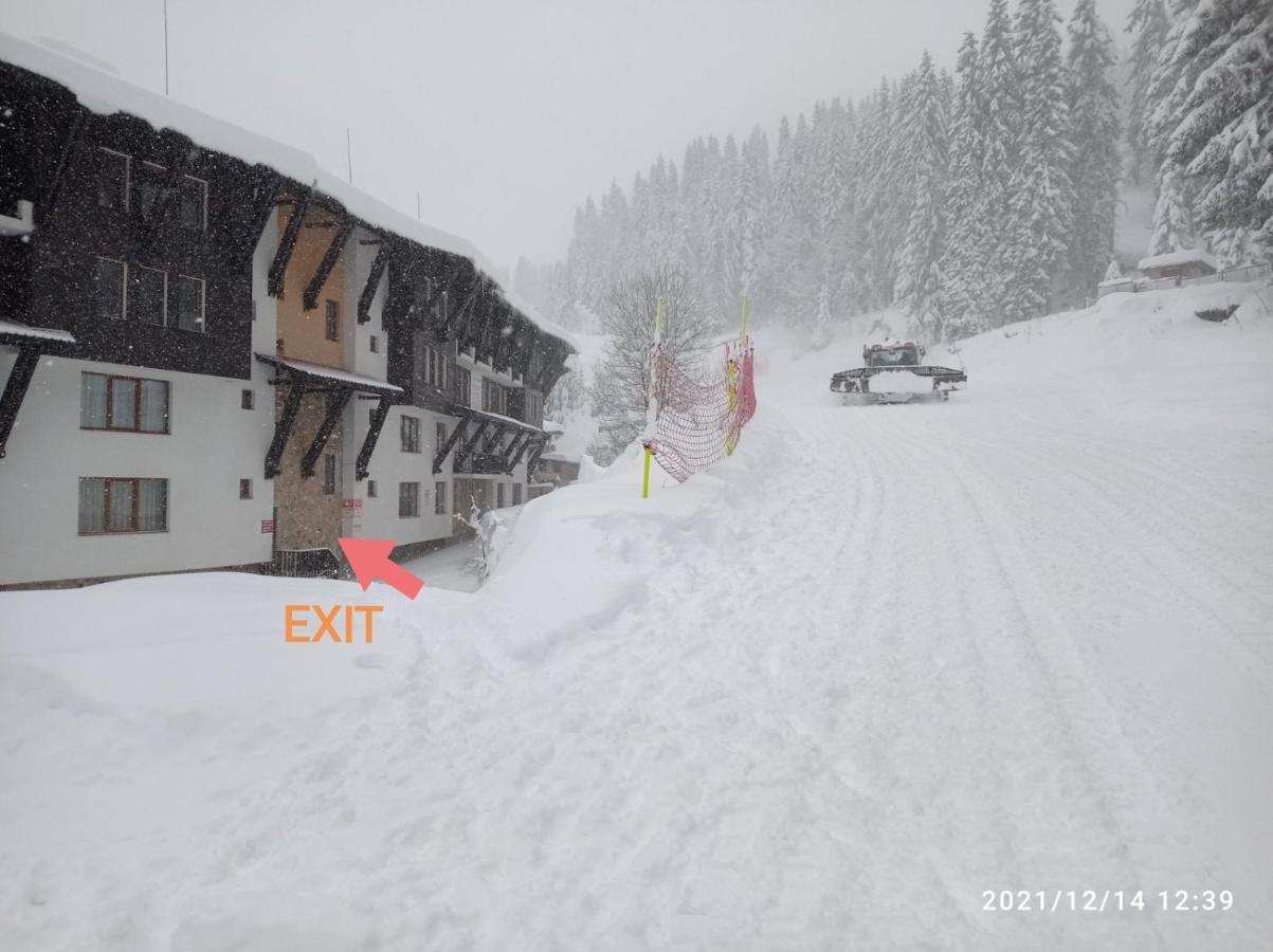 Snow Dreams 2 Grand Monastery Daire Pamporovo Dış mekan fotoğraf